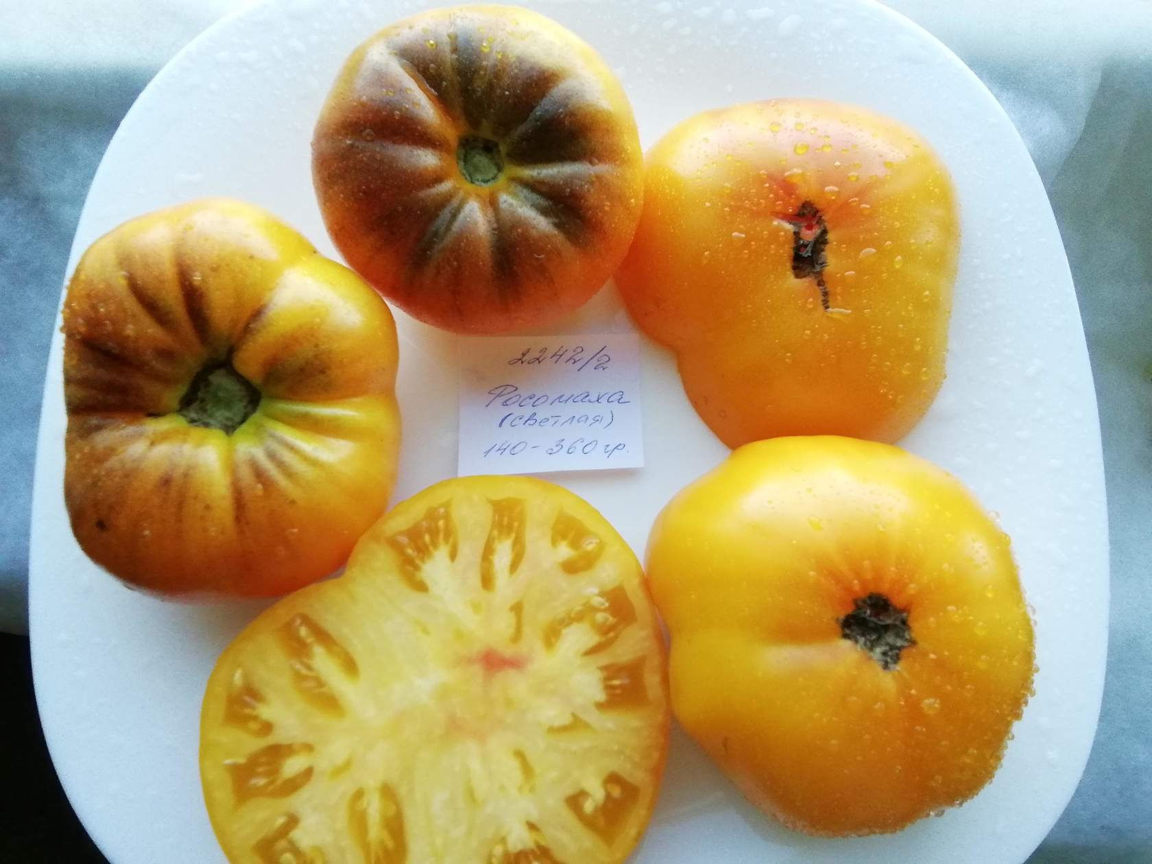 2242/2 - Wolverine / Росомаха