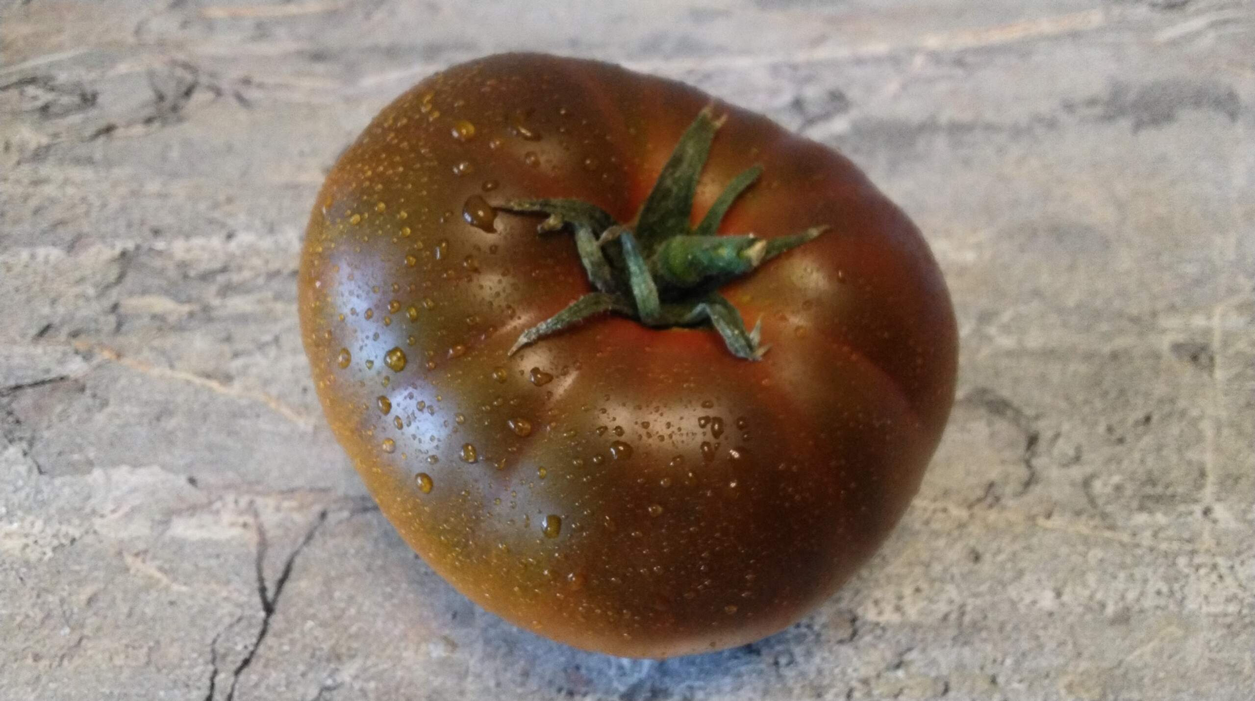 1856 - Marmande sweet / Сладкий марманде