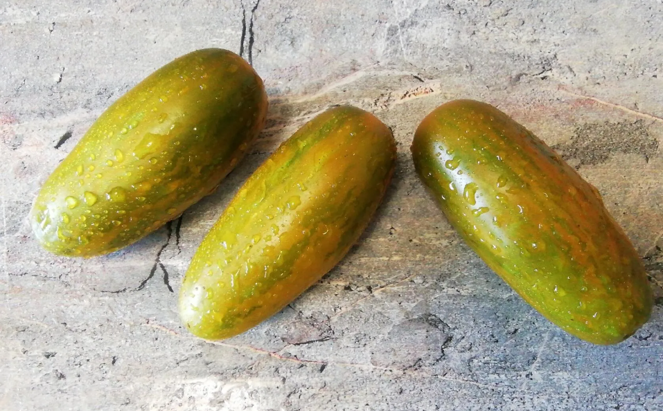 959 - Lange Aermer / Длинные рукава