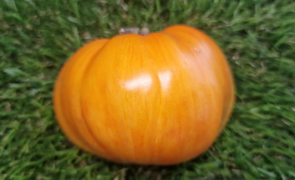 4629 - Dwarf John Beidler / Гном Джон Бейдлер