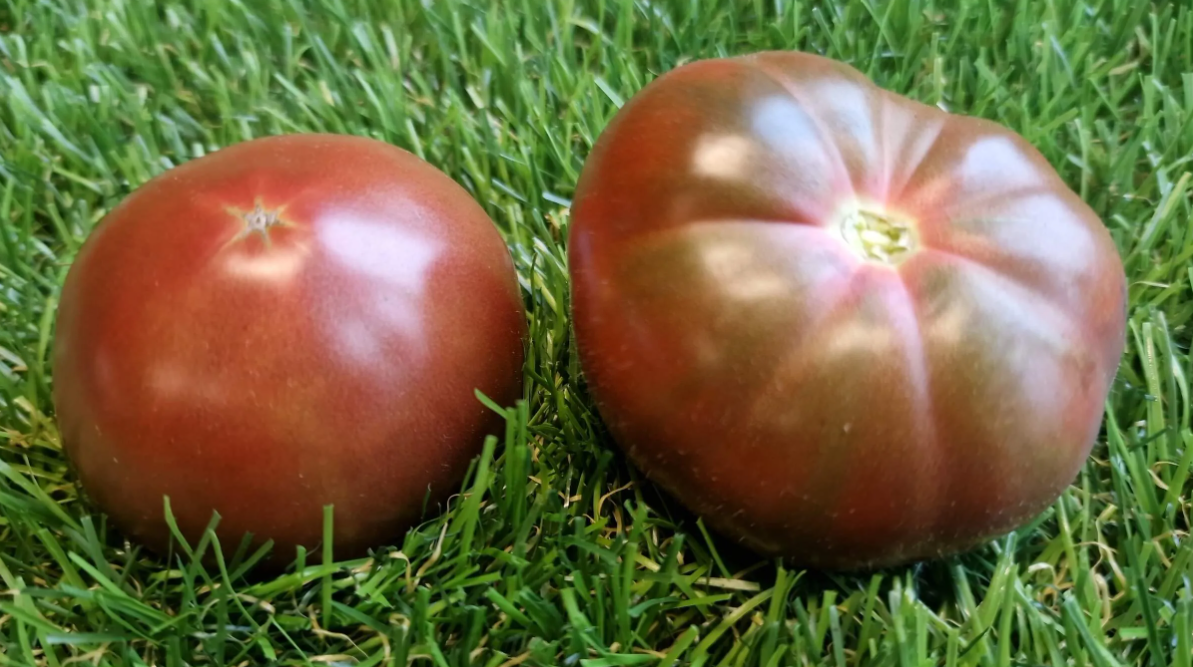 5172 - Mordovian delicacies F6 / Мордовские вкусняшки