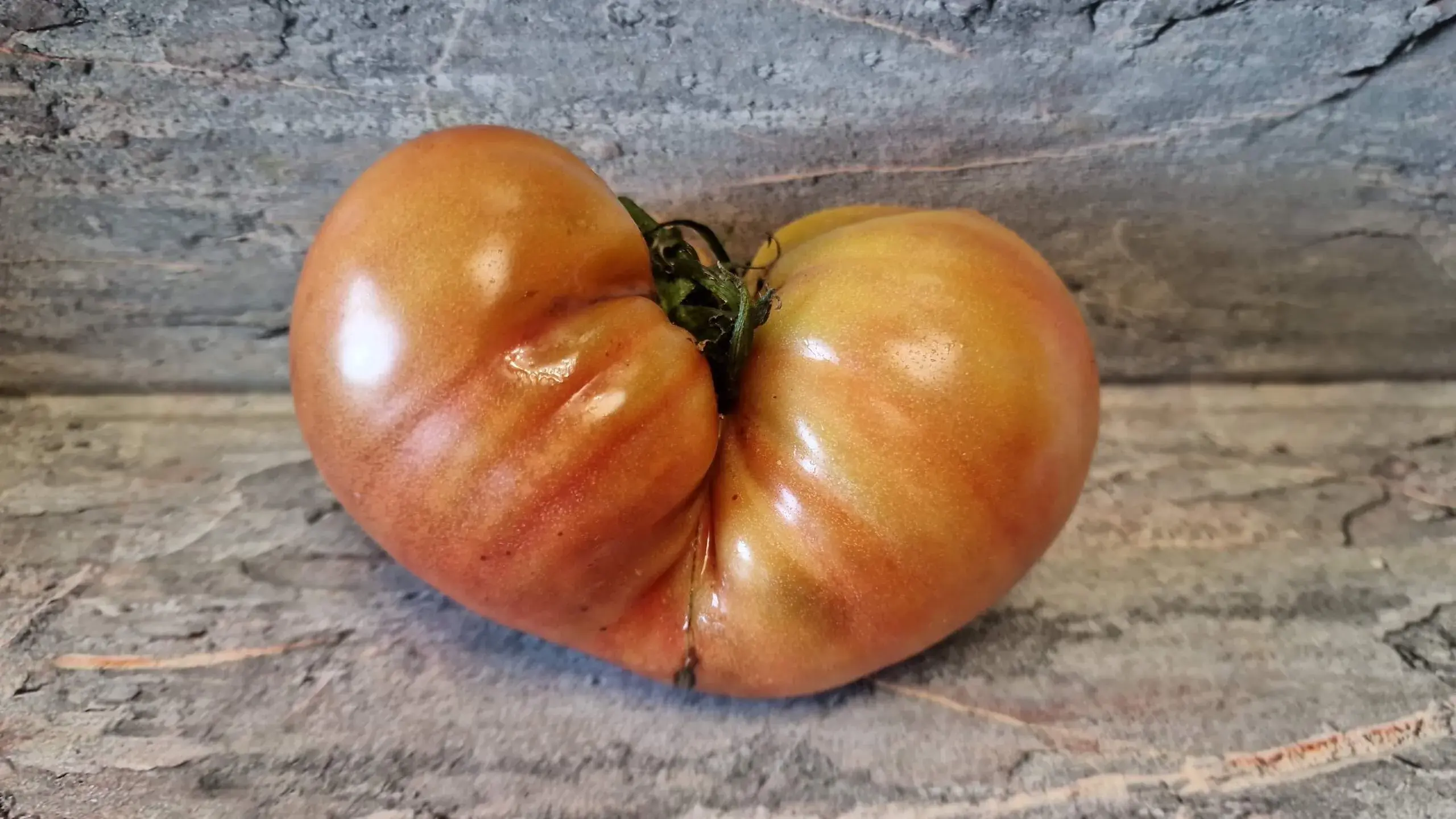 3885 - Jarson 9 / Ярсон 9