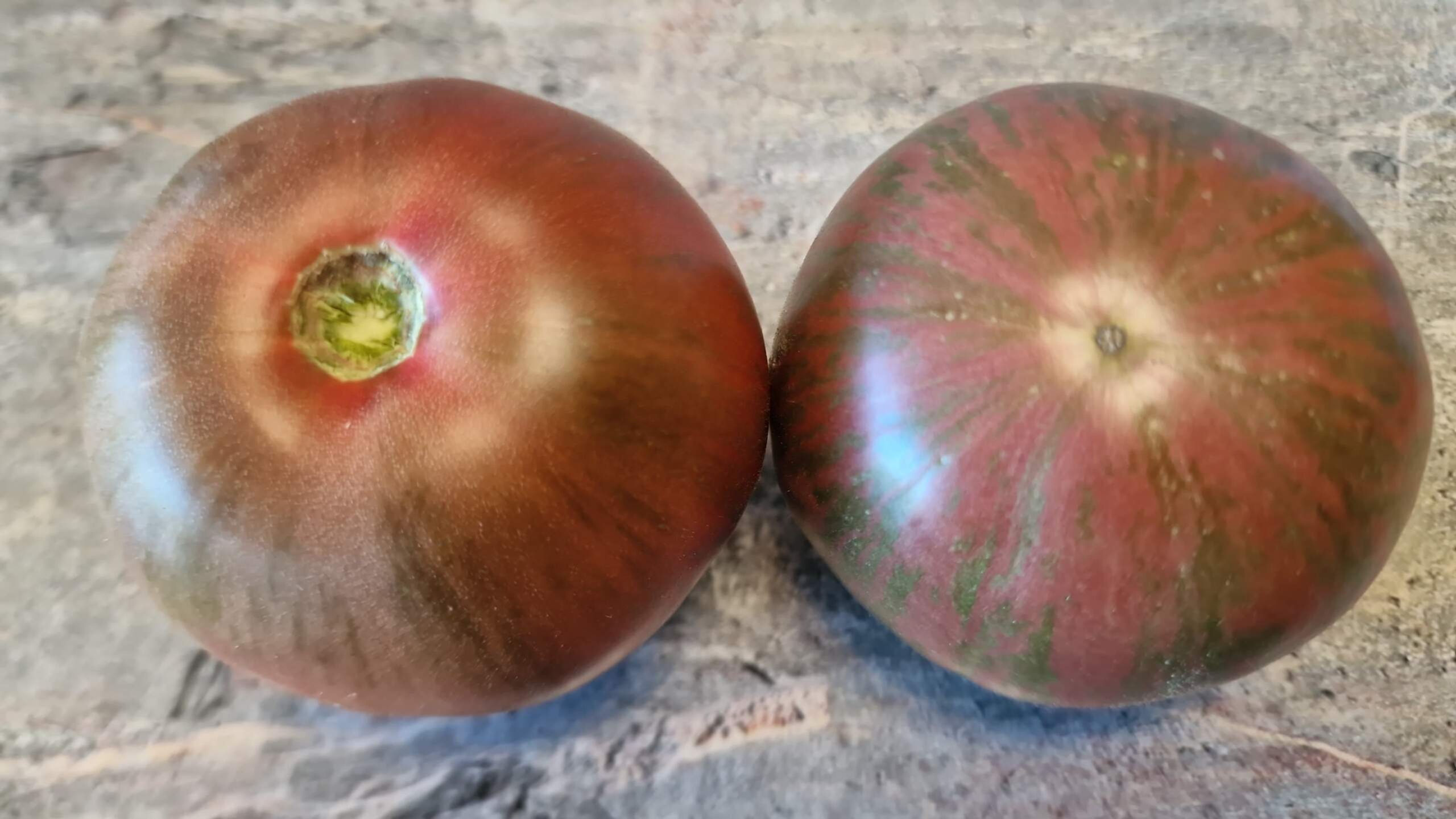 1360 - Kozula 125 Czarna zebra malinova /Козула 125 малиновая чёрная зебра