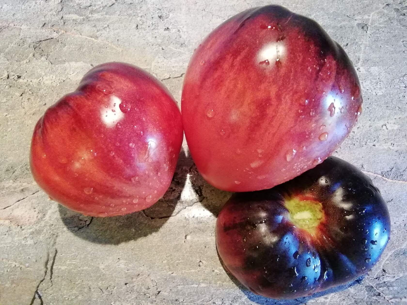 3396 - Sgt.Peppers Bluehills / Синие Горы Сержанта Пеппера