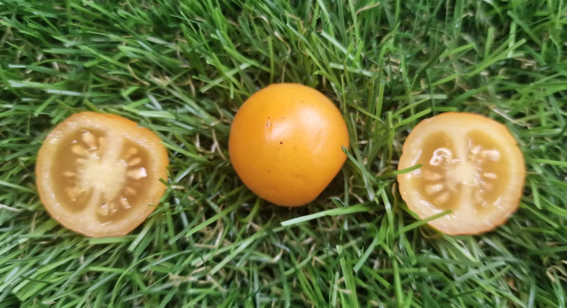 1103 - Tumbling / Тамблинг