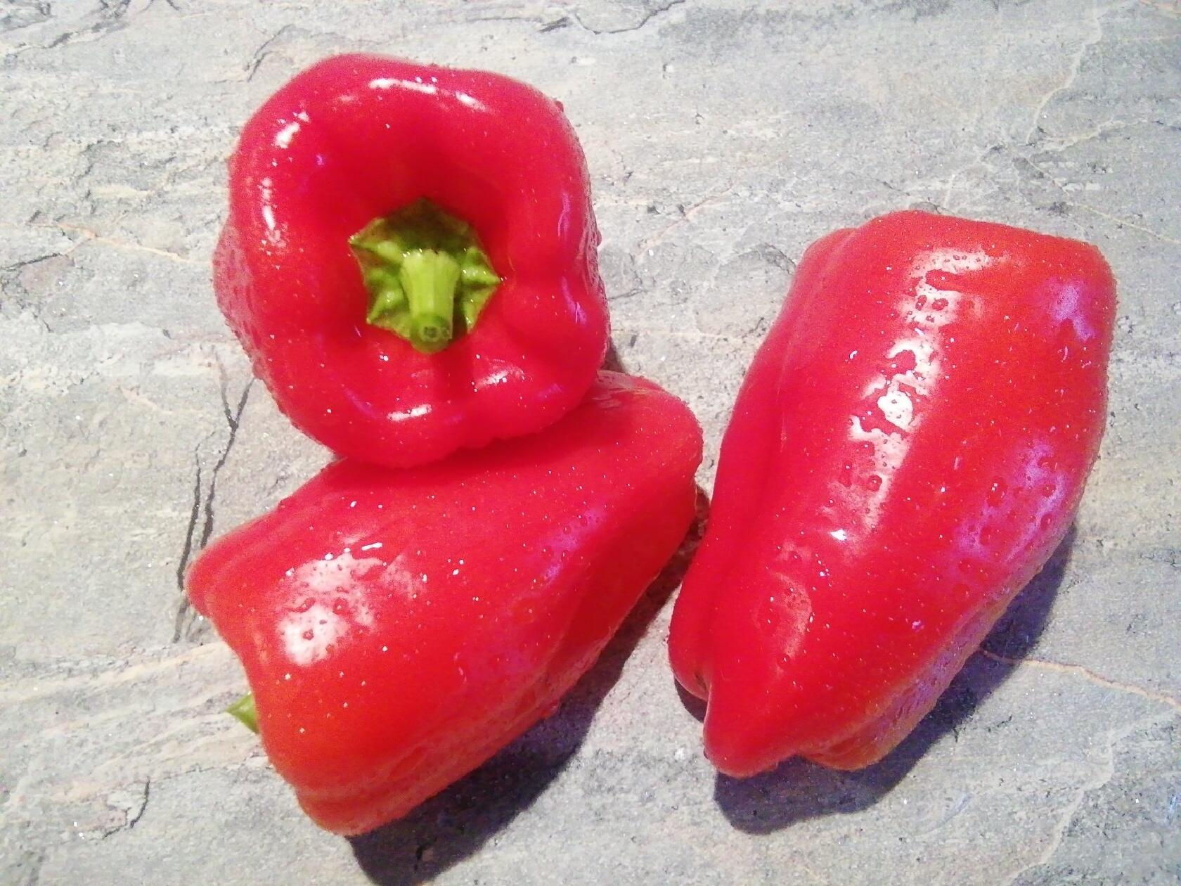 П 124 Siberian format /  Сибирский формат