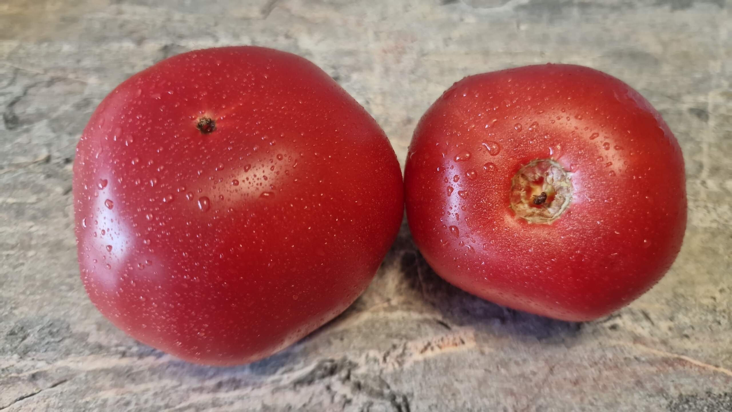 3297 - Kozula 126/1 / Козула 126/1