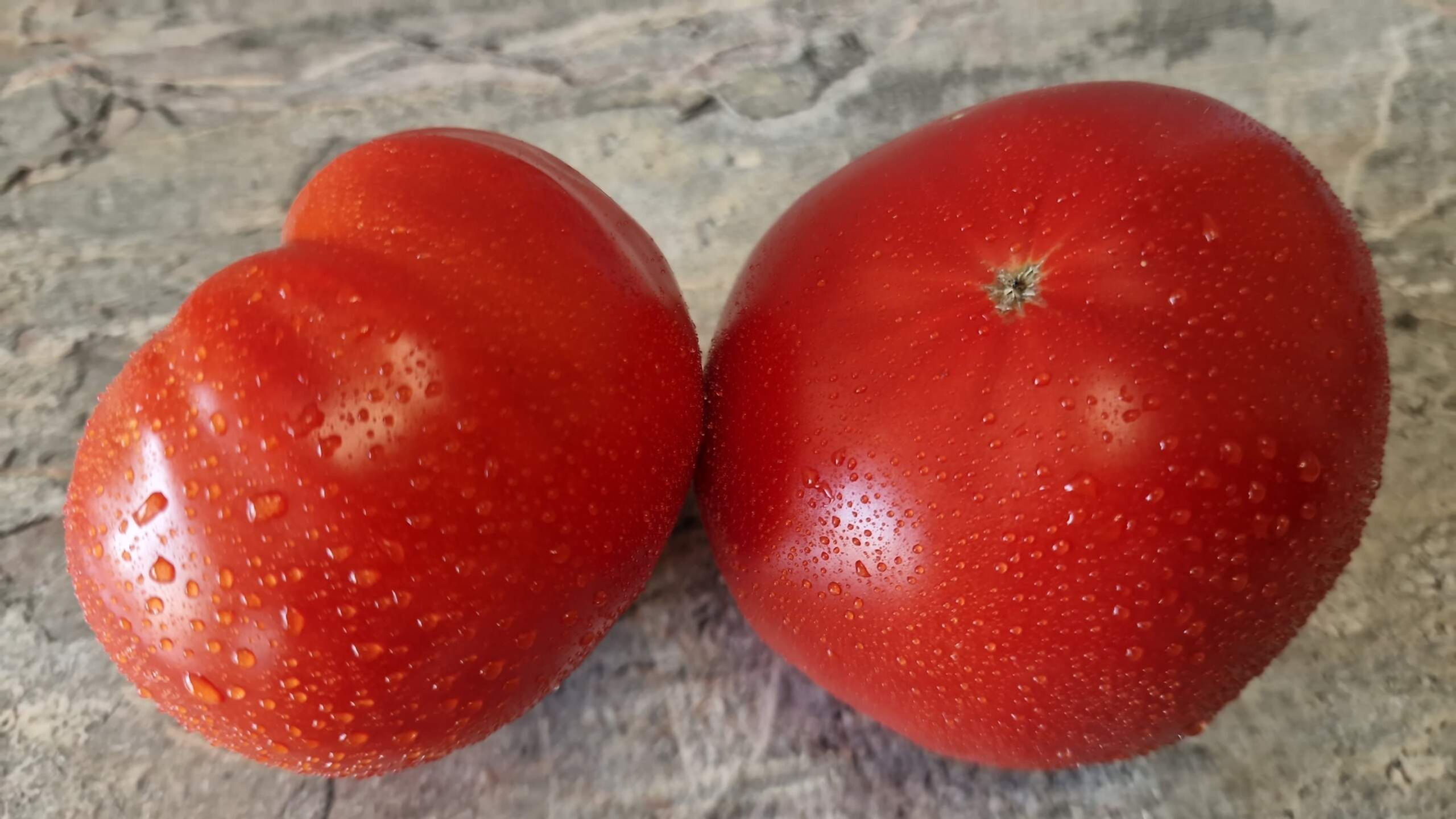 4740 - Duck's Nest / Утиное гнездо