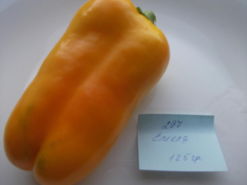 Thumbnail: П 297 - Emel  / Емеля