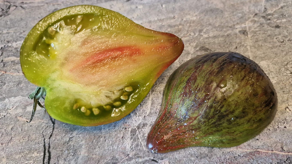 Thumbnail: 4269 - Rebel Starfighter VD-21 / Мятежный звёздный истребитель VD-21