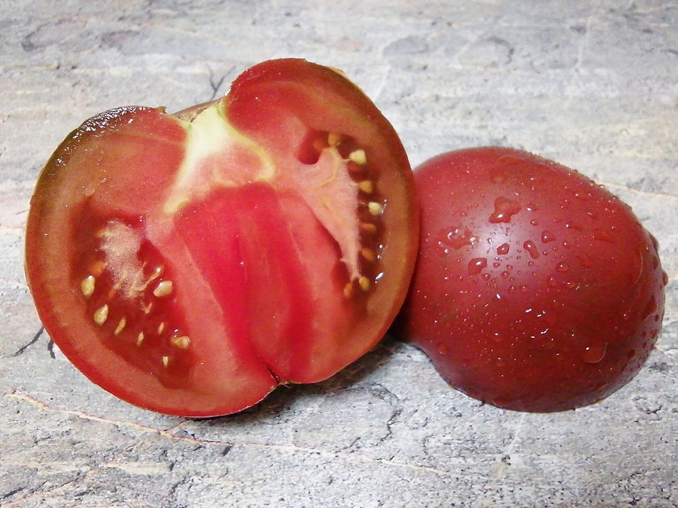 4235 - Handsome man / Красавец мужчина