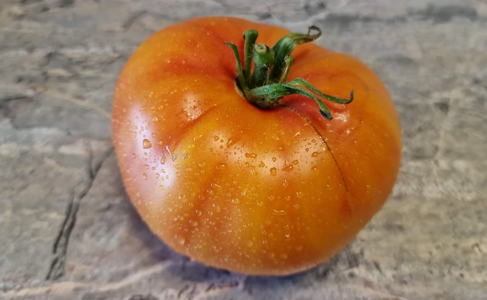 4397 - Onix black variegated / Чёрный оникс