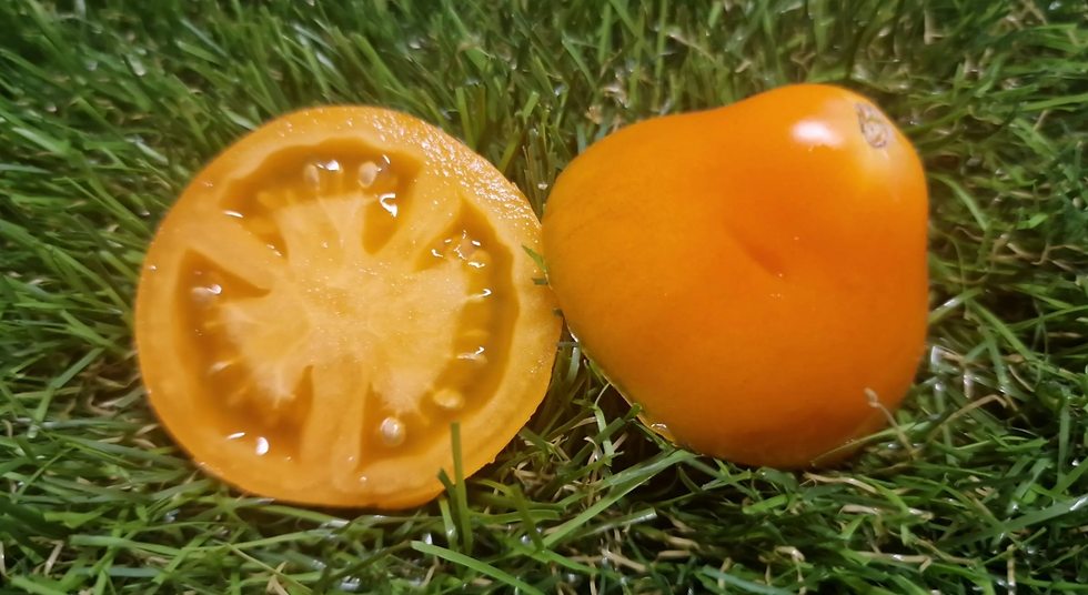 Миниатюра: 5186 - Orange pear / Оранжевая груша
