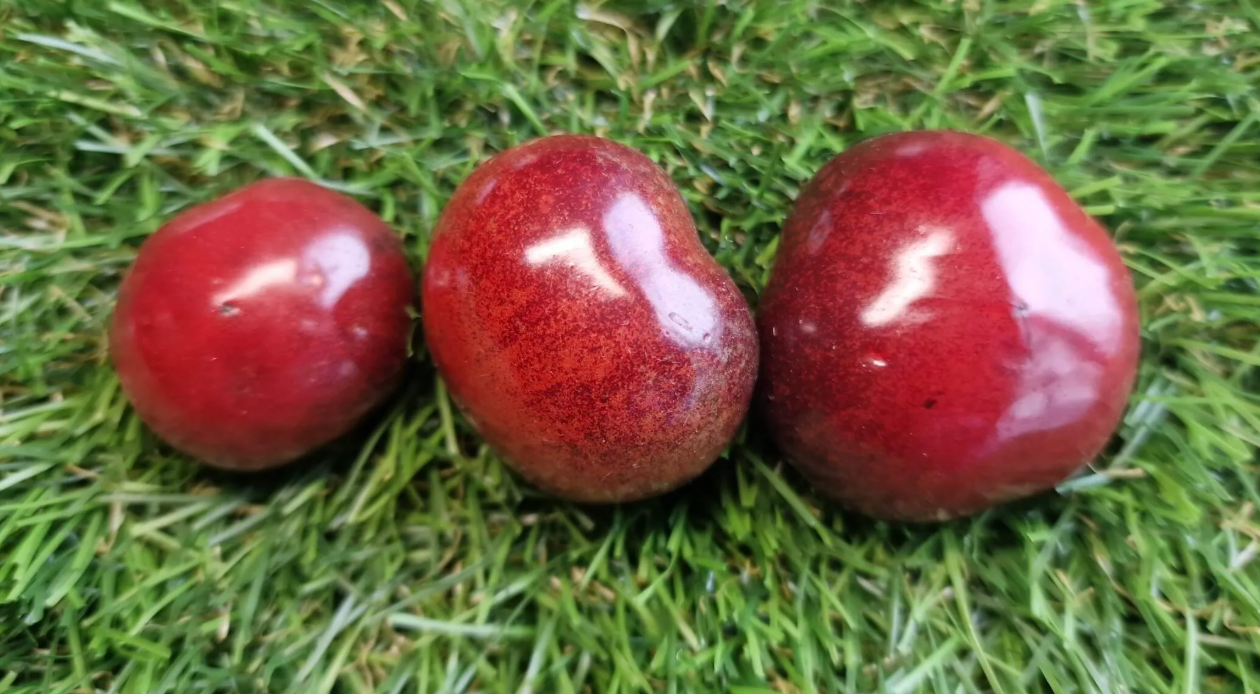 4810 - Dwarf Blue Calf / Гном Голубой теленок