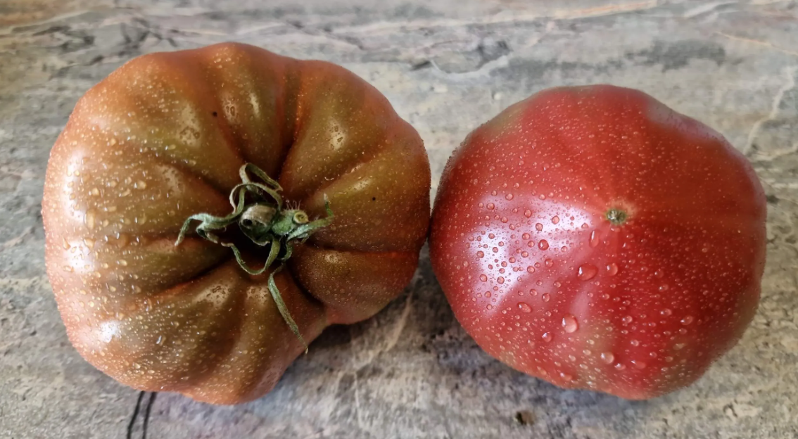 4532 - Black comb / Гребень чёрный