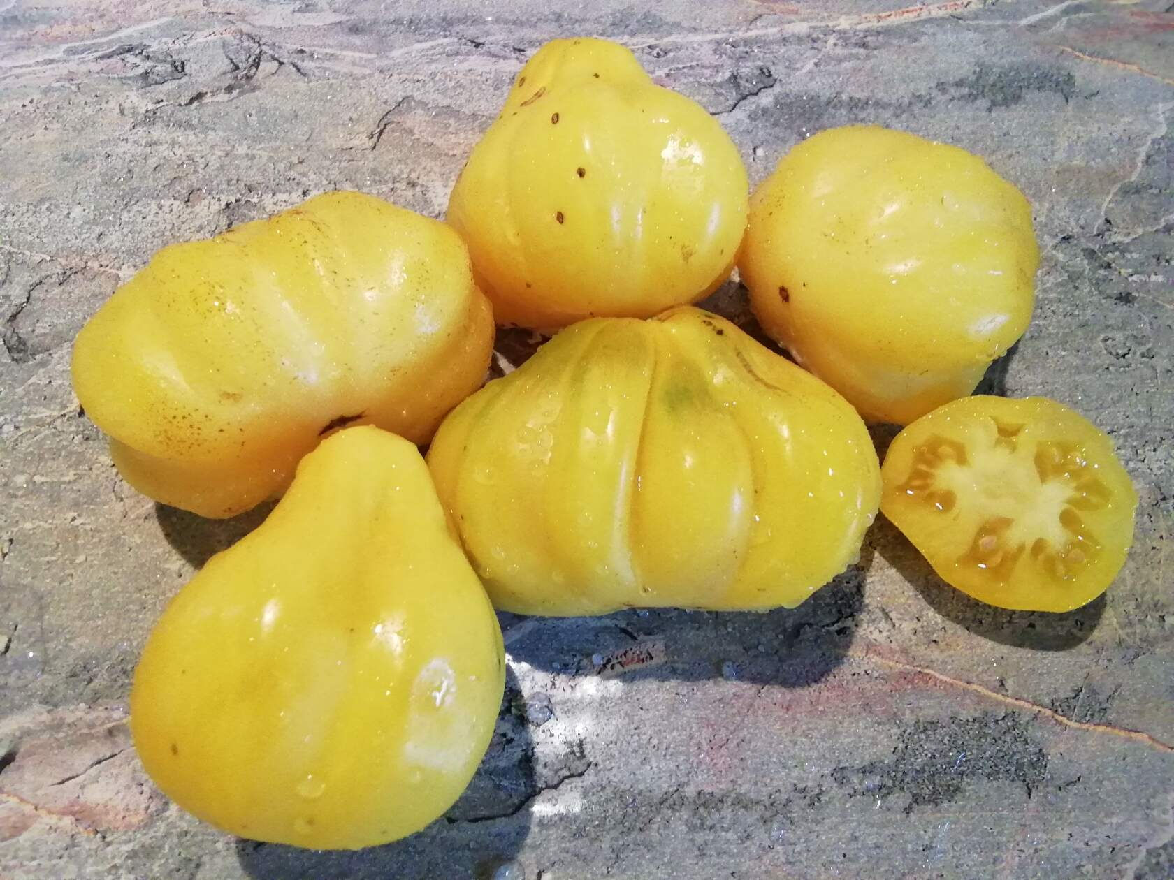 398А - Tlacolula Yellow\Тлаколула жёлтая