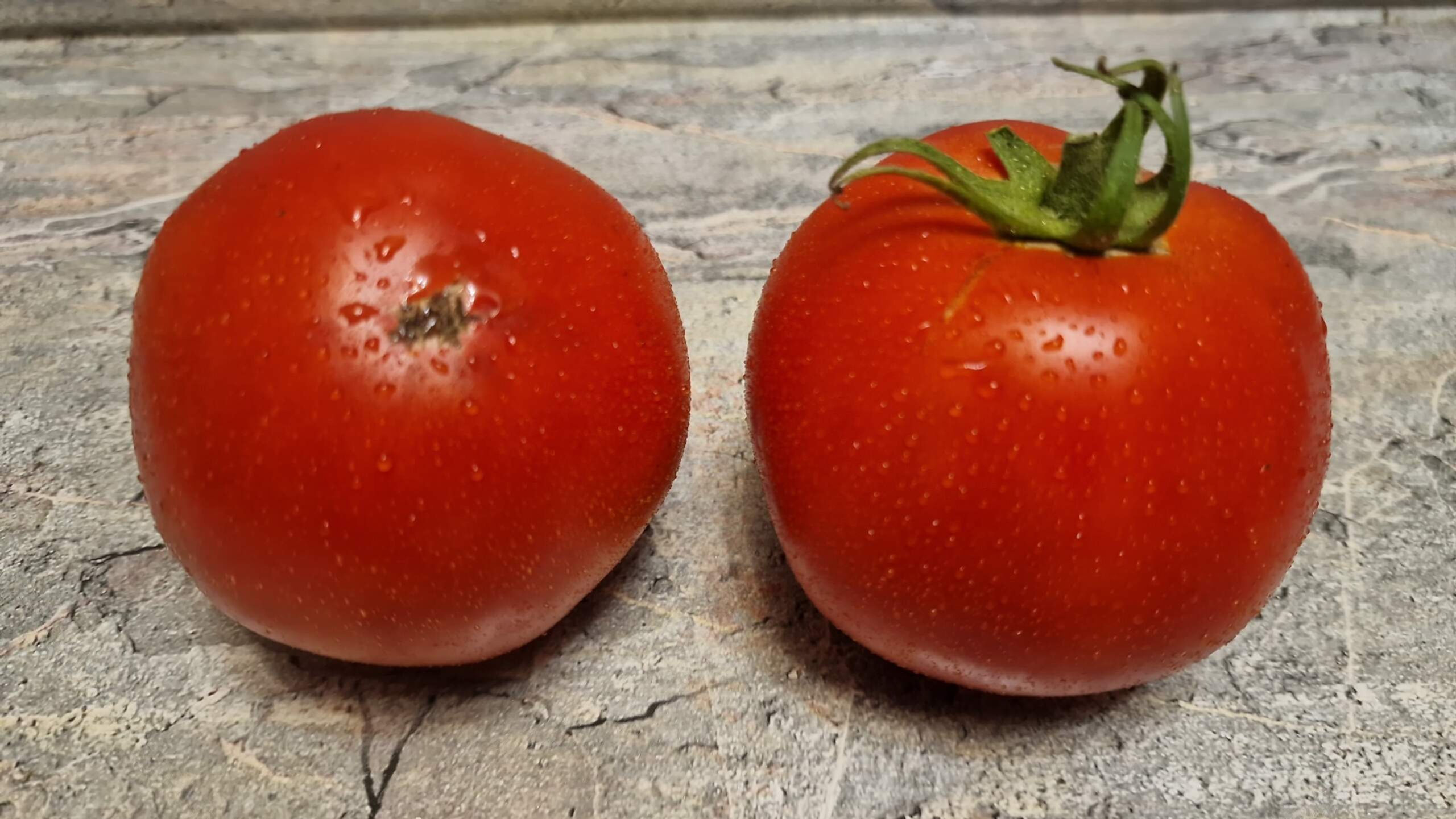 4391 - Plum from the old-timers of Abkhazia / Сливка от старожилов Абхазии