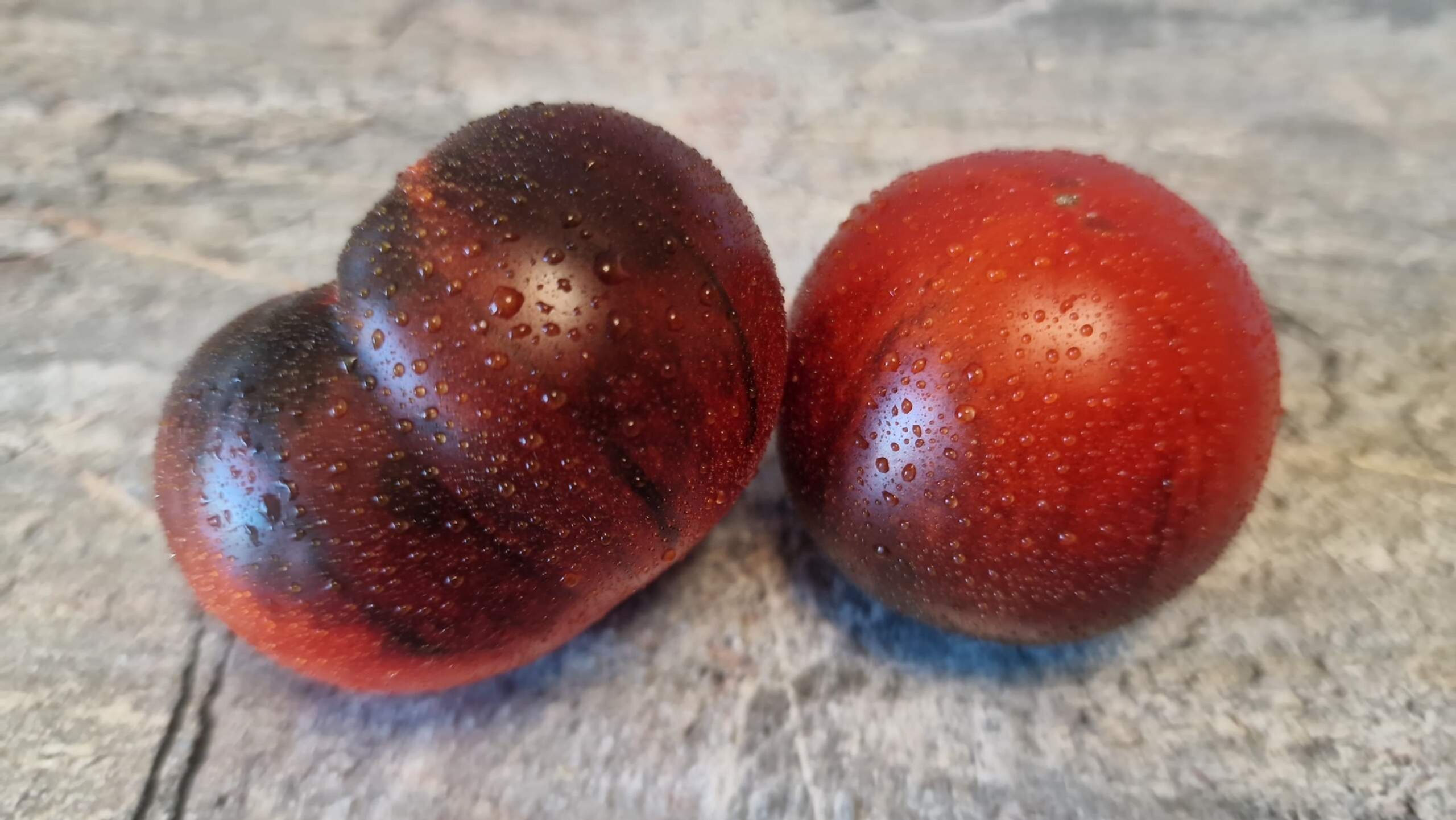 4577 - Scarface Blues / Блюз лица со шрамом