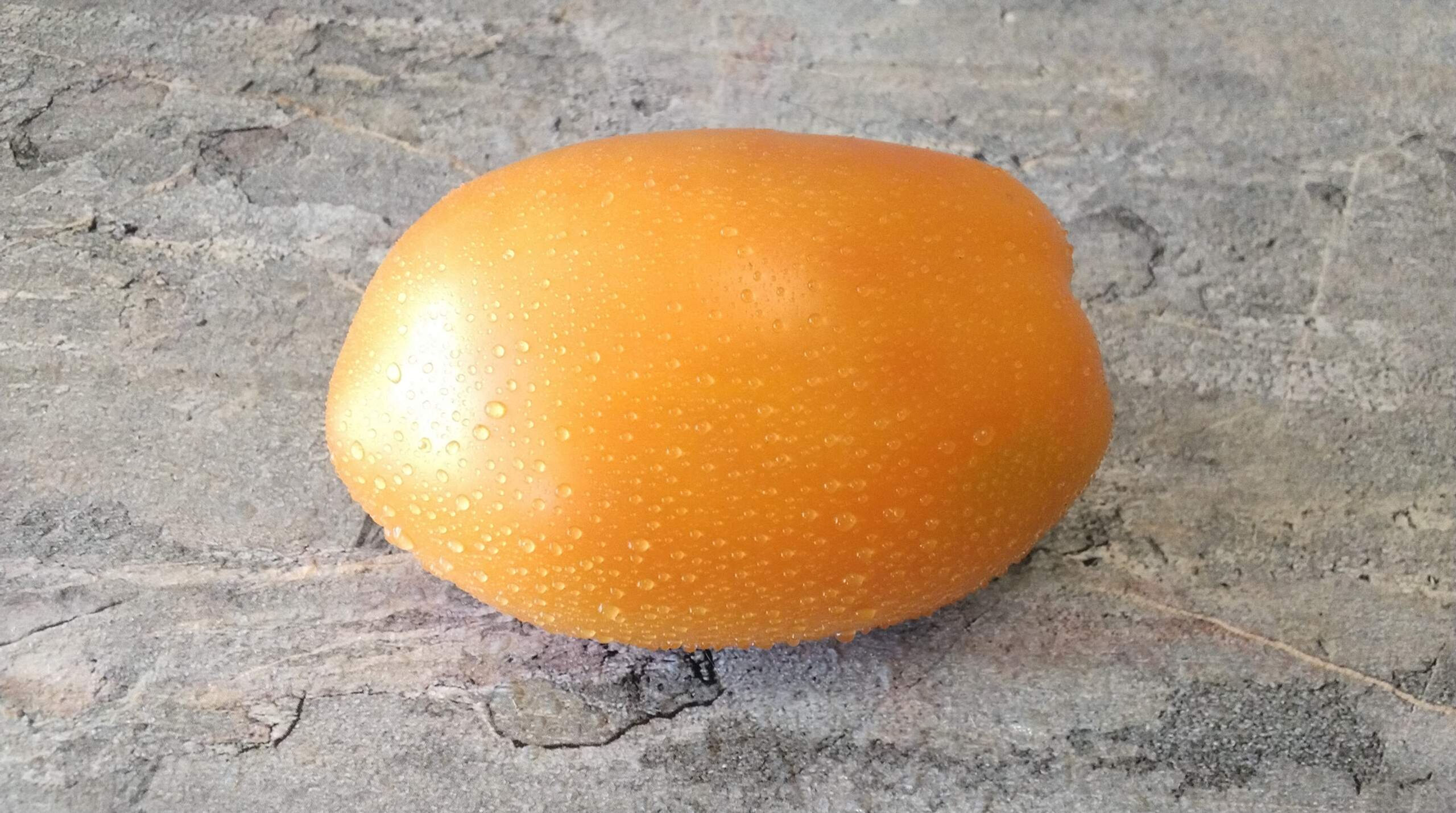 1752 - Olesya / Олеся