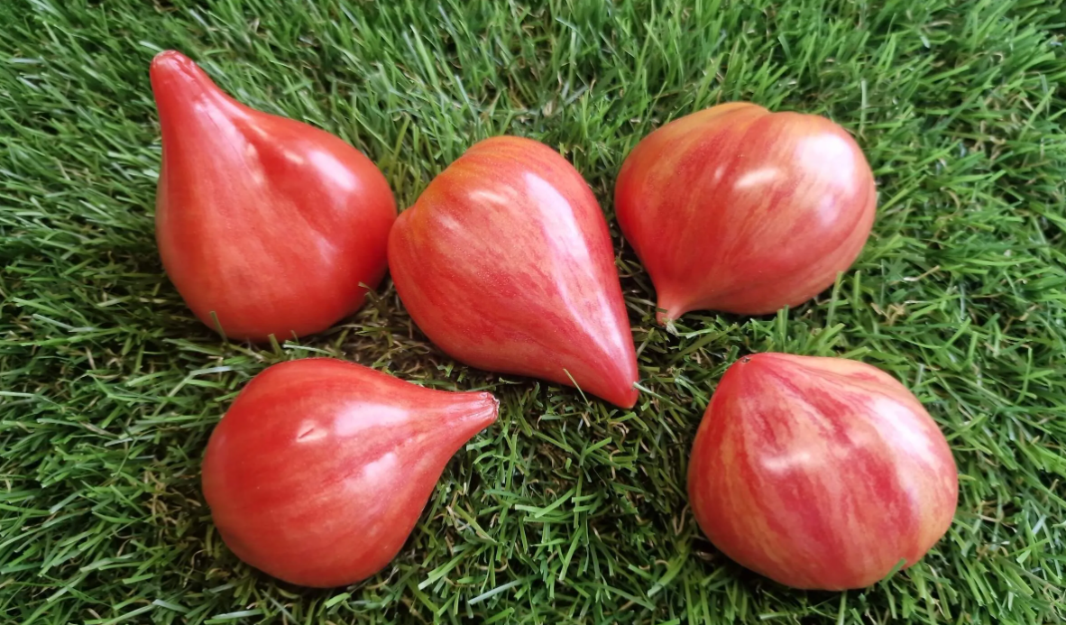 4763 - Tree of Hearts / Дерево сердец