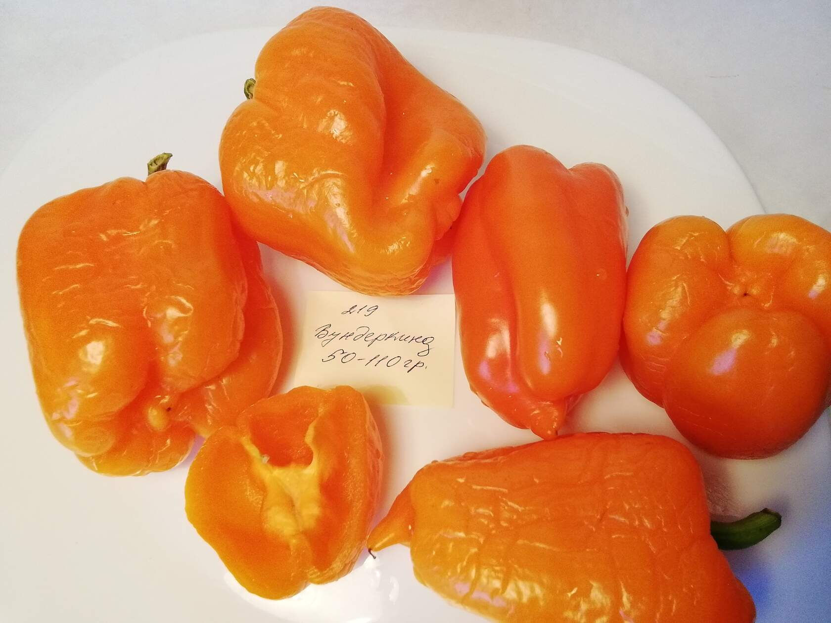 П 219 - Prodigy / Вундеркинд