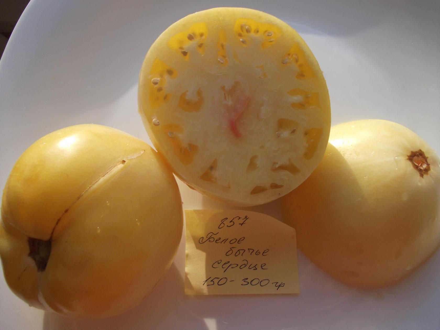 857 - White bull heart / Белое Бычье Сердце