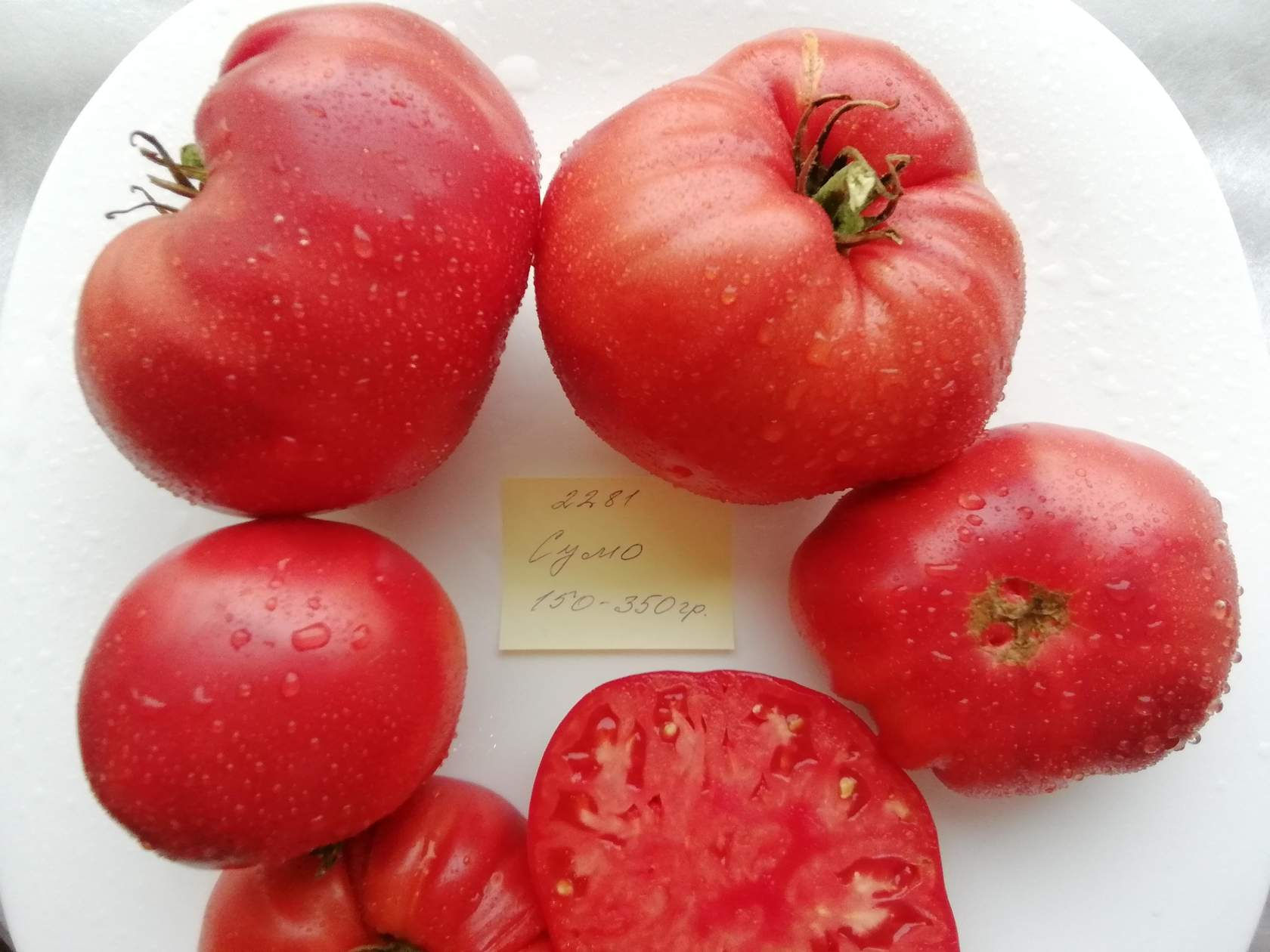 2281 - Sumo \ Сумо