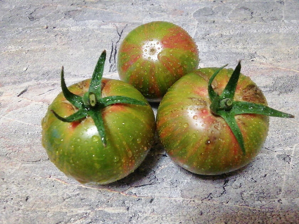 4051 -Green variegated / Зелёные пёстрые