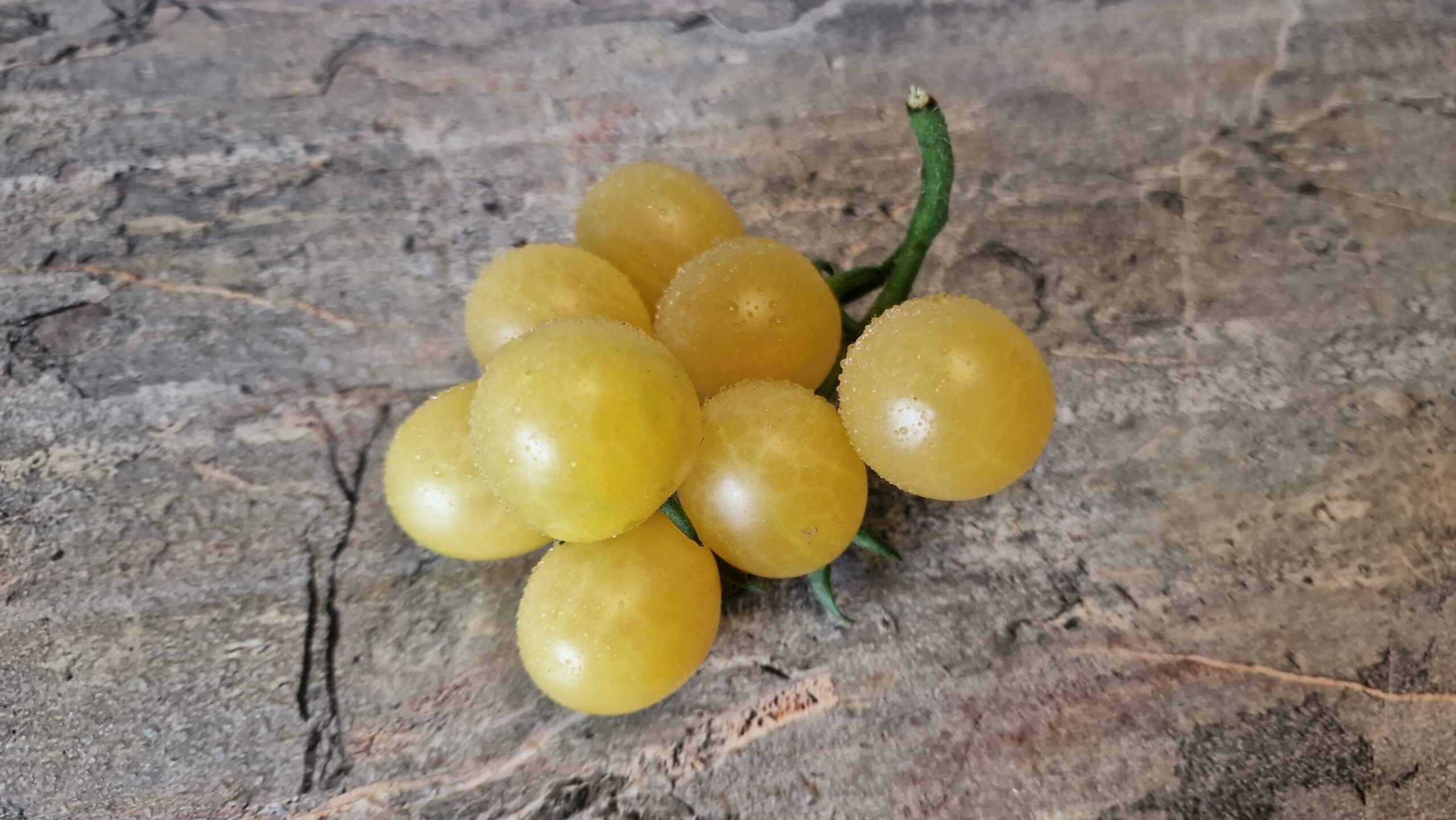 4334 - White Keyes /  Белые Ключи