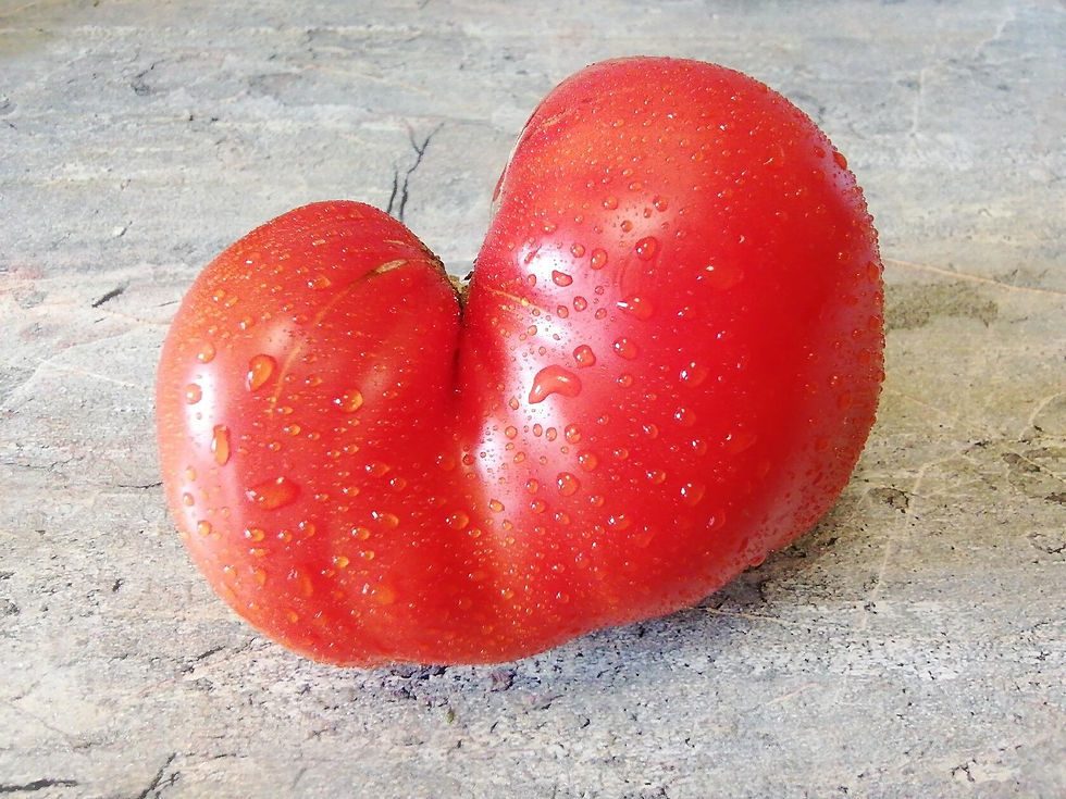 3893 - Crest / Гребень