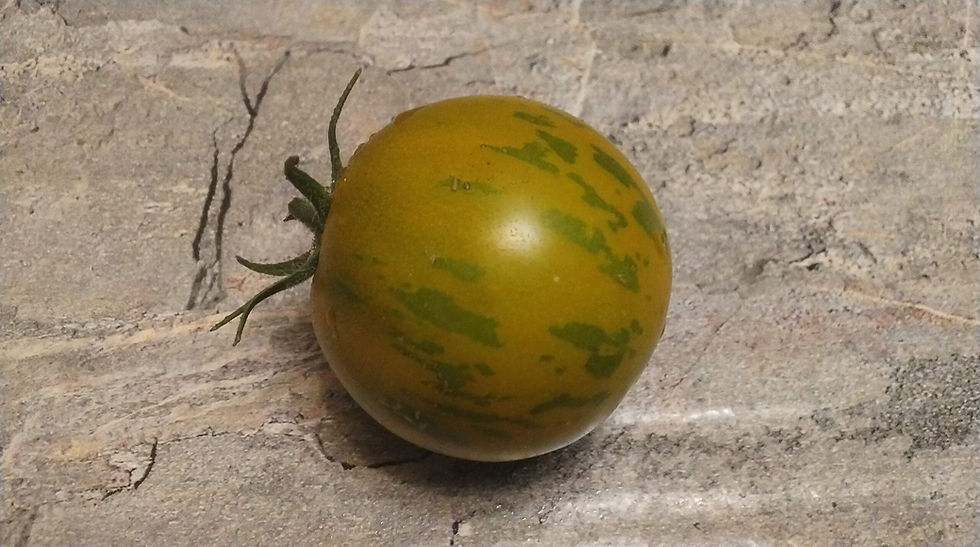 Thumbnail: 4360 - Emerald flame / Изумрудное пламя