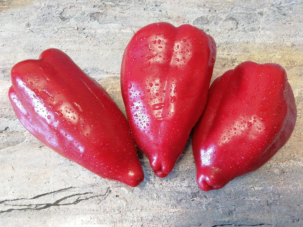 П 318 - Funtik / Фунтик