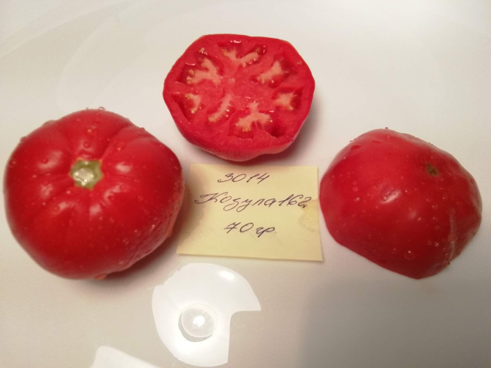 3014-  Kozula 162 /  Козула 162