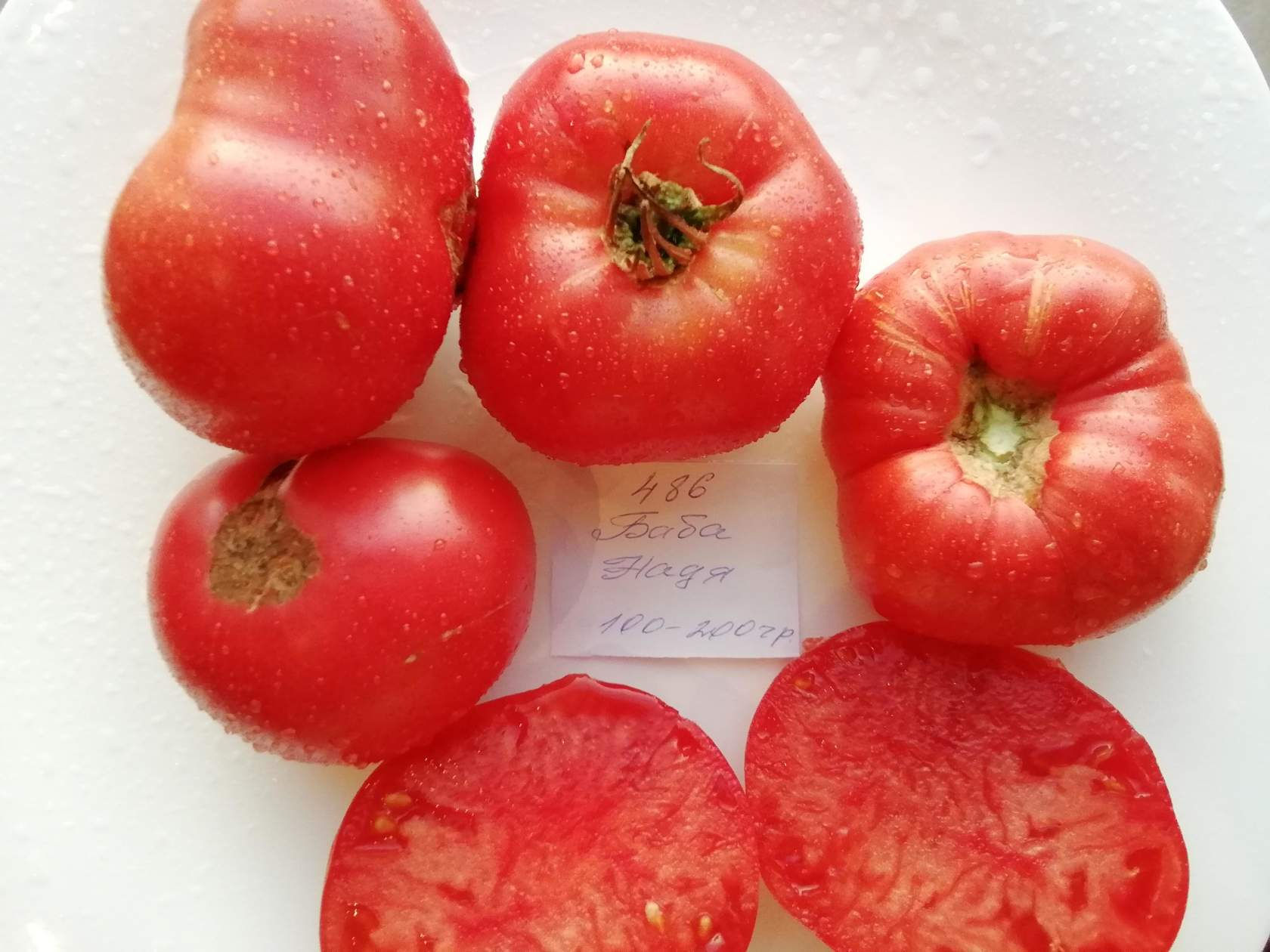 486 - Granny Nadya \ Баба Надя