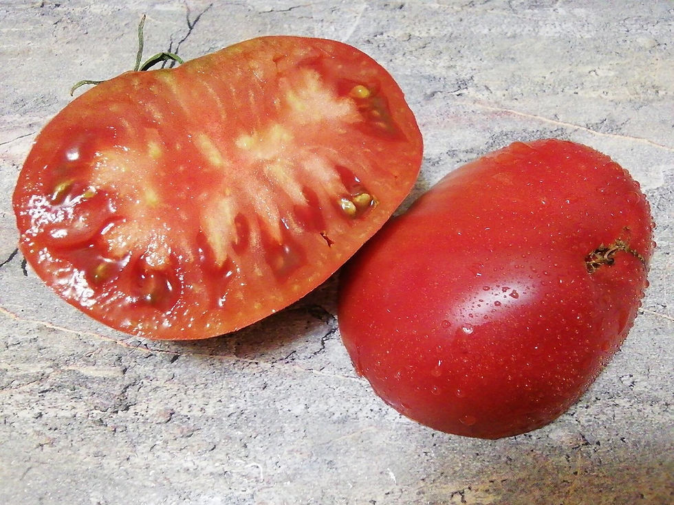 Thumbnail: 4116 - Cherry Syrup F 5 / Вишнёвый Сироп