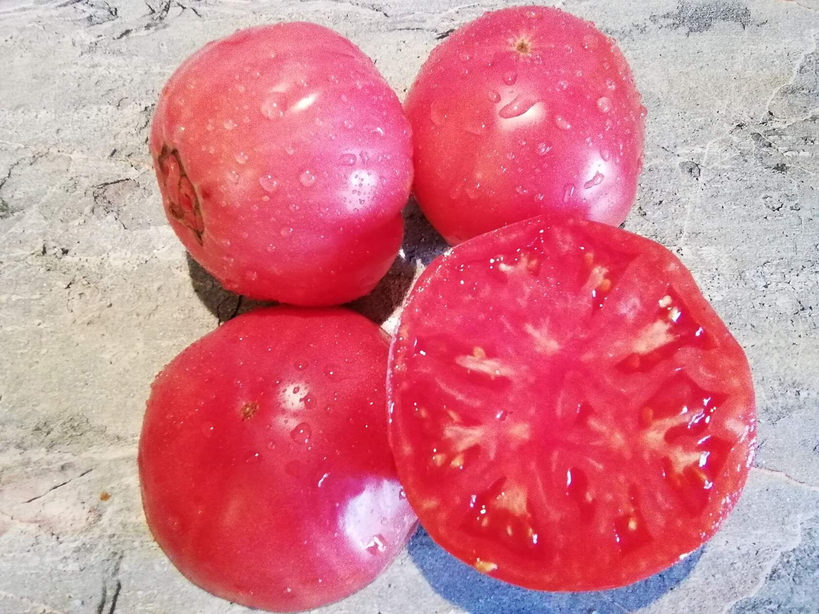 429 - Sizeless \ Безразмерный