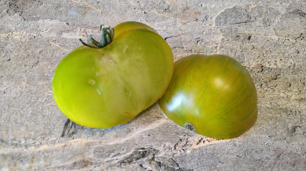 Thumbnail: 4330 - Dwarf Emerald City  / Гном Изумрудный город