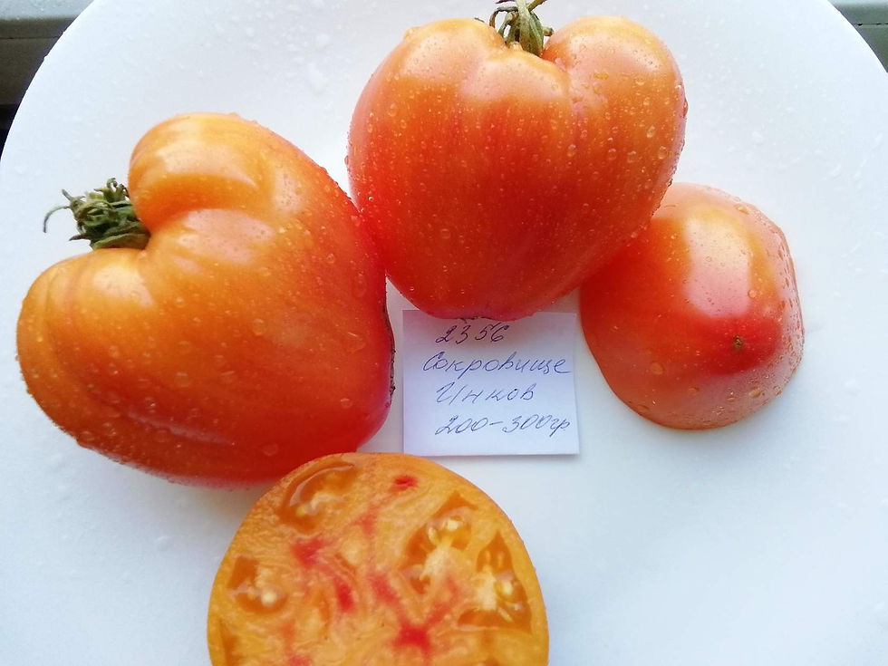 2356 - Ink’s treasure \ Сокровище Инков