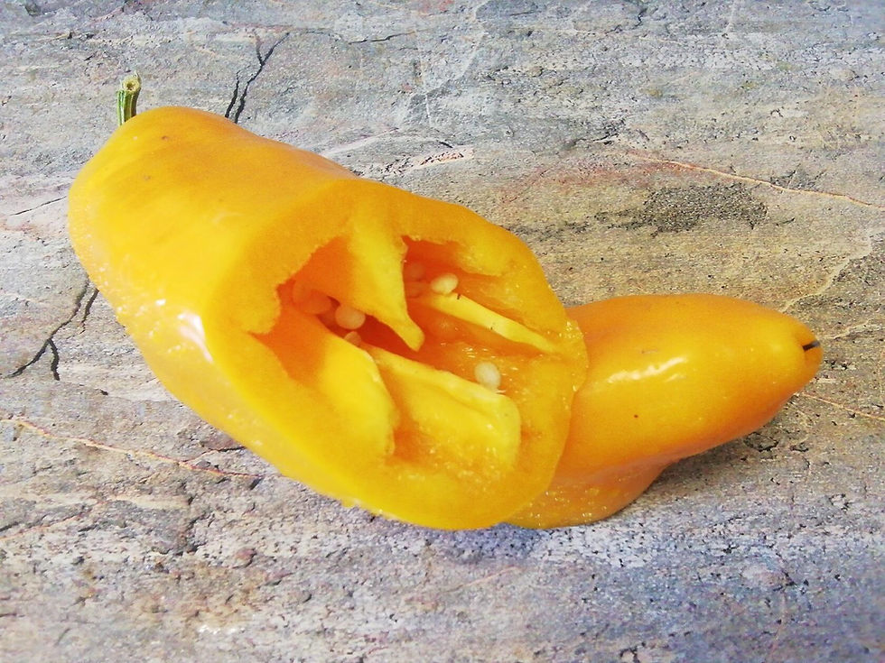 Thumbnail: П 53а - Lesya-Alesya / Леся-Алеся