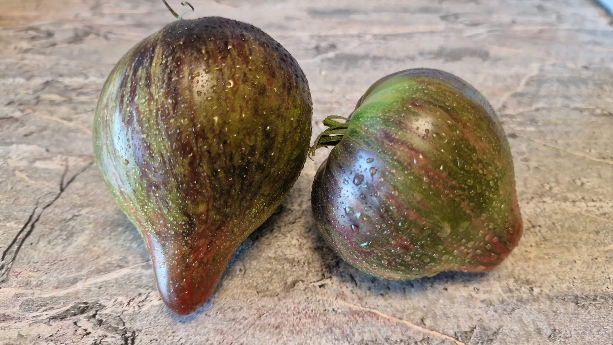 4269 - Rebel Starfighter VD-21 / Мятежный звёздный истребитель VD-21