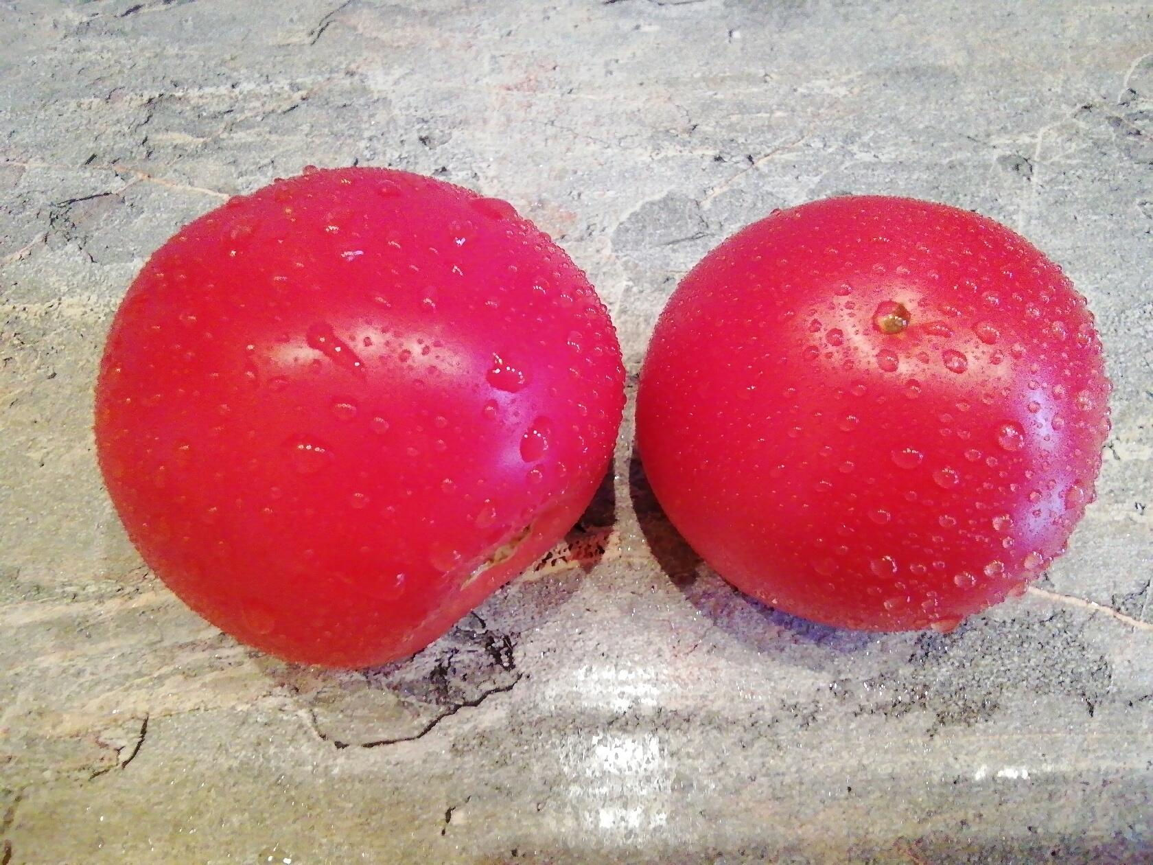 623 - Tatiana /  Татьяна