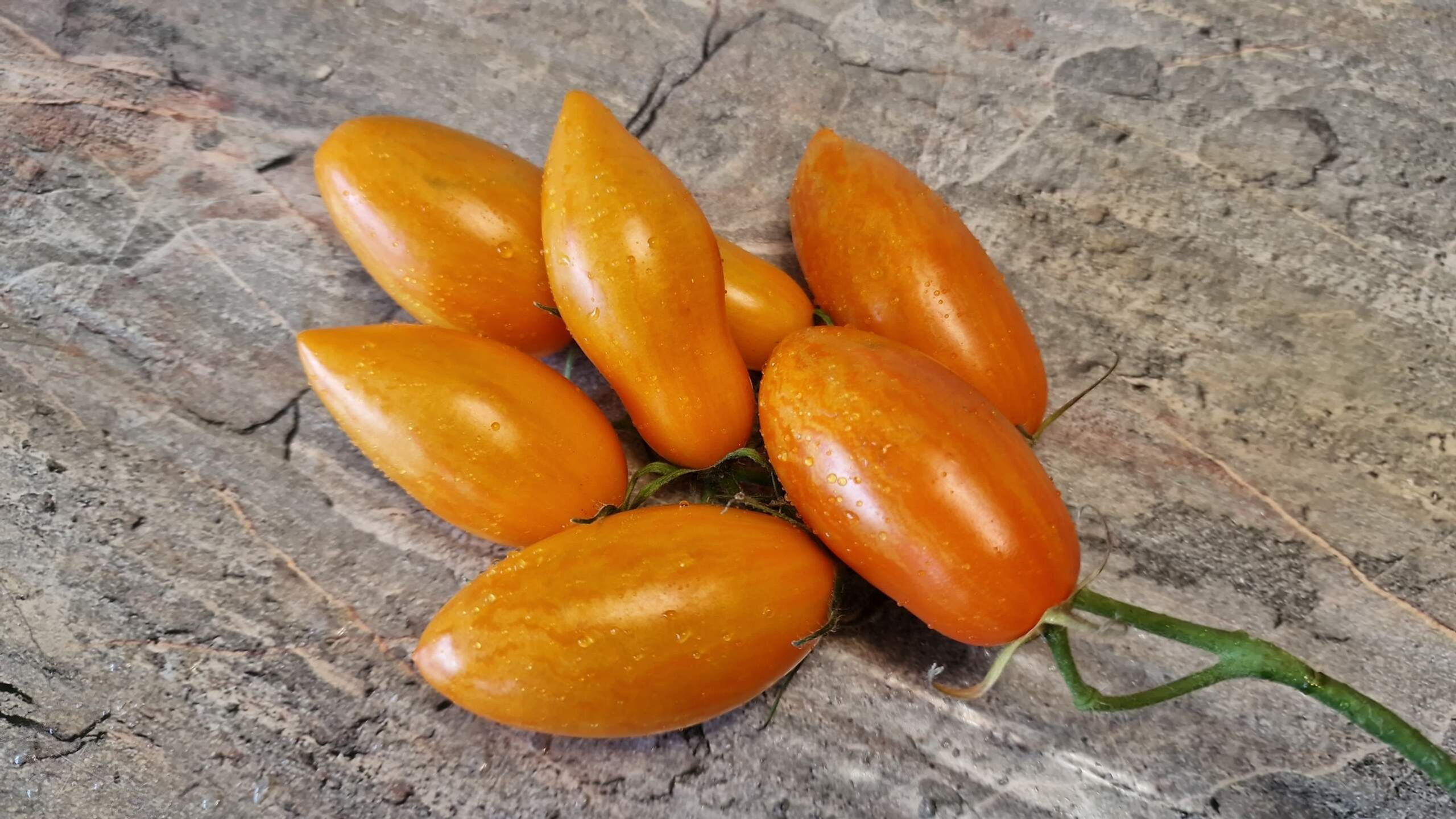 3708 - Blush 2.0  / Румянец 2,0