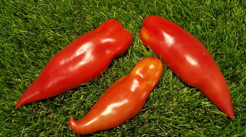 4968 - Dad’s Barber Paste / Папина Парикмахерская Паста