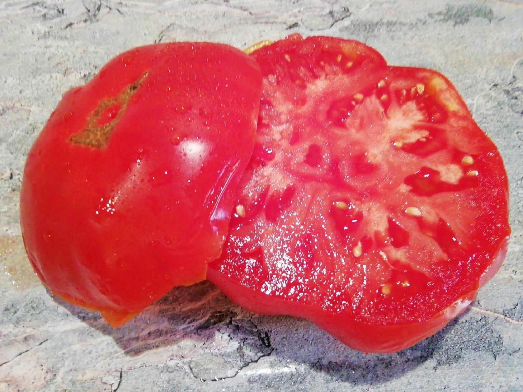 1011- Funny Neighbor  / Весёлый сосед