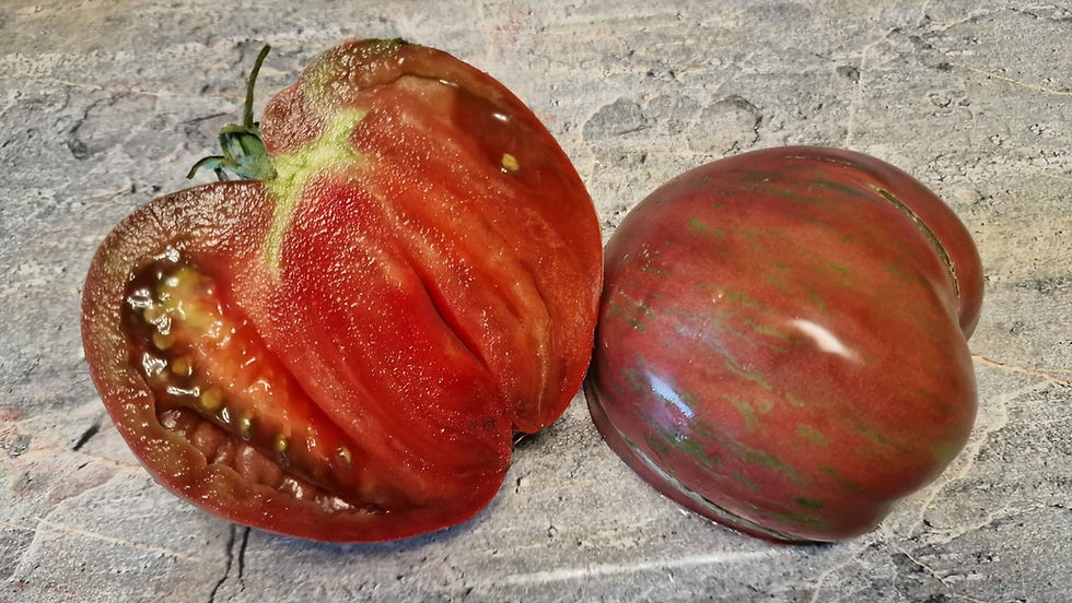 Thumbnail: 4414 - La mia Luce  / Мой луч света