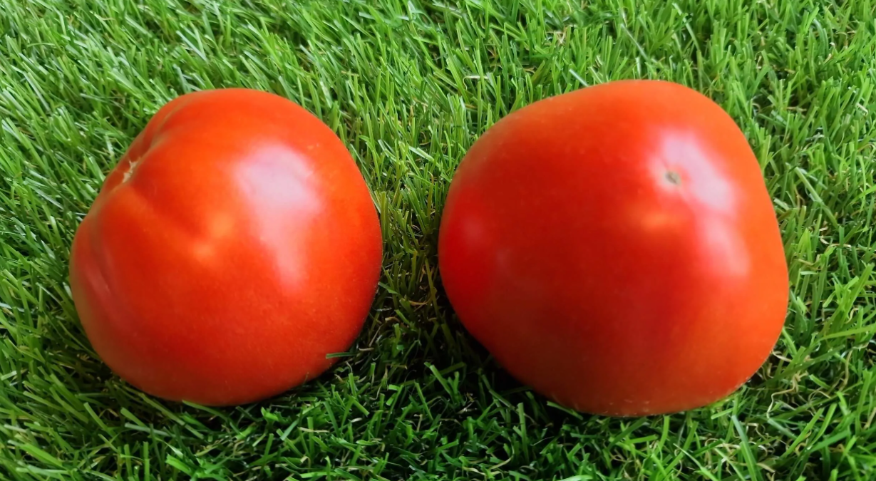 5176 - Mordvin dawn F5 / Мордовский рассвет