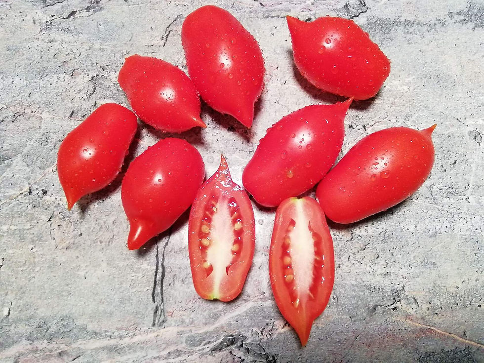 2886 - Arrow / Стрелка