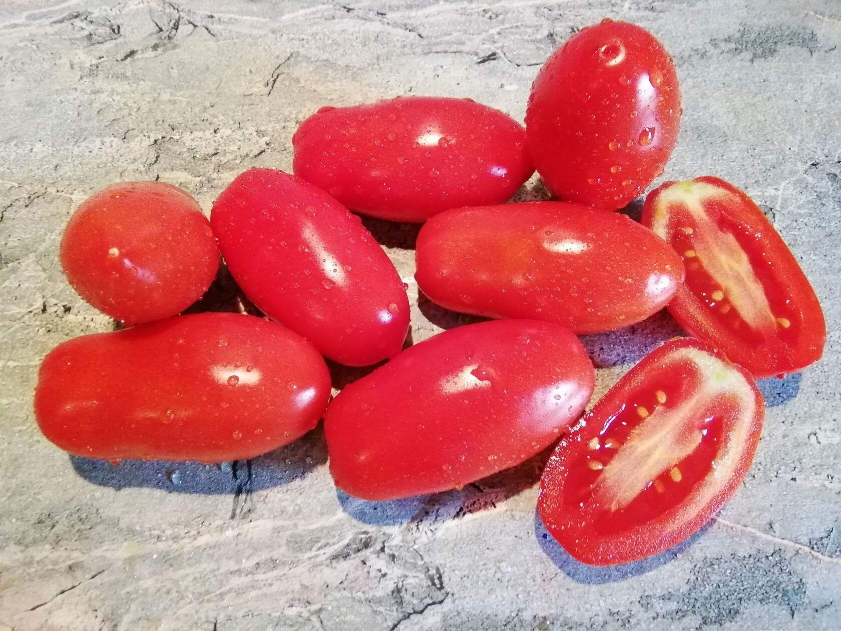 2013 - Piccadilly / Пикадилли