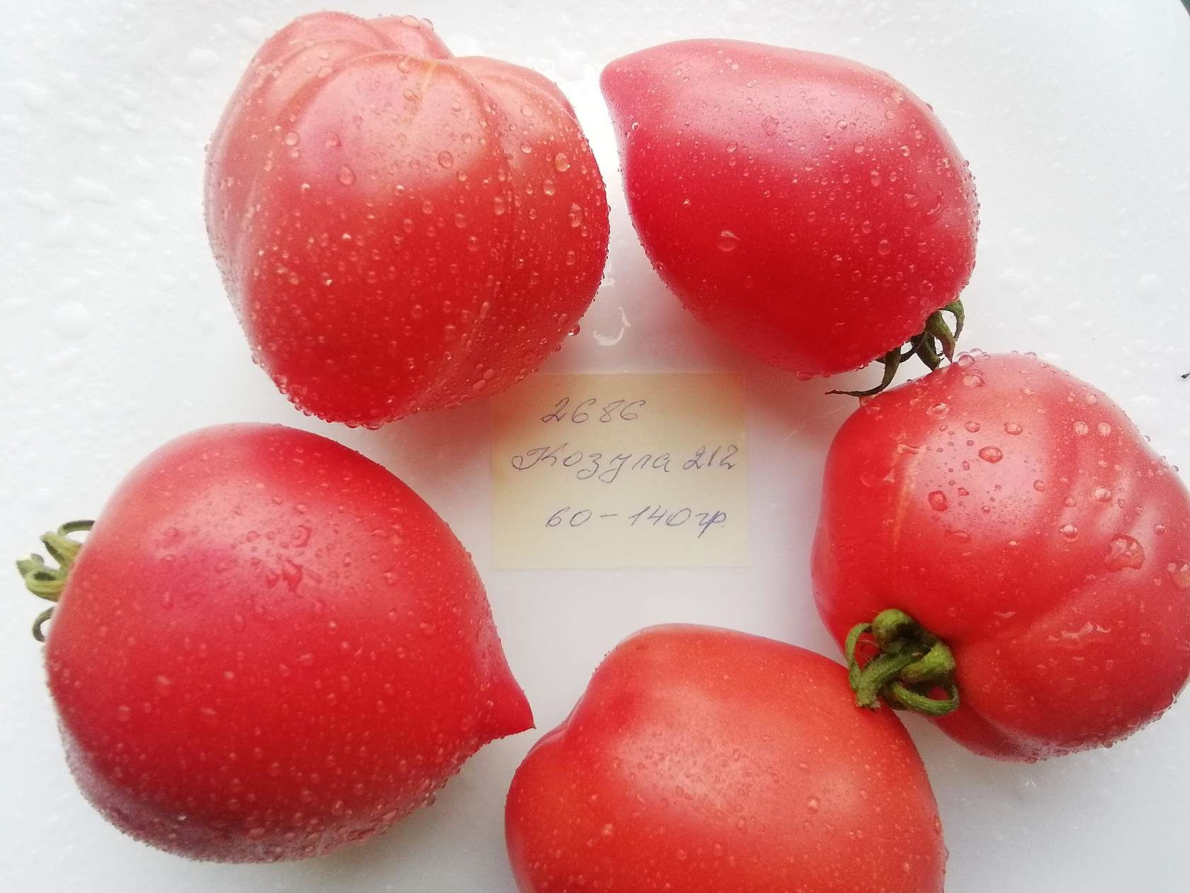 2686 - Kozula  212  / Козула 212