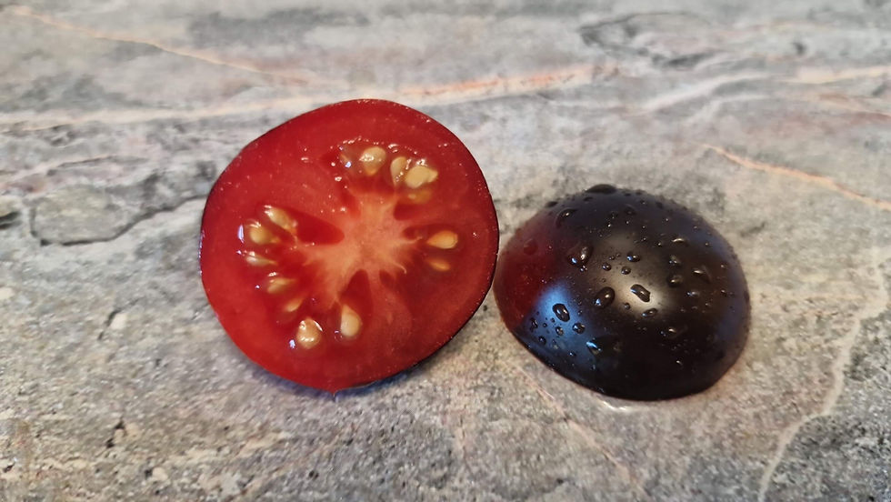 Thumbnail: 4616 - Crow eye / Вороний глаз